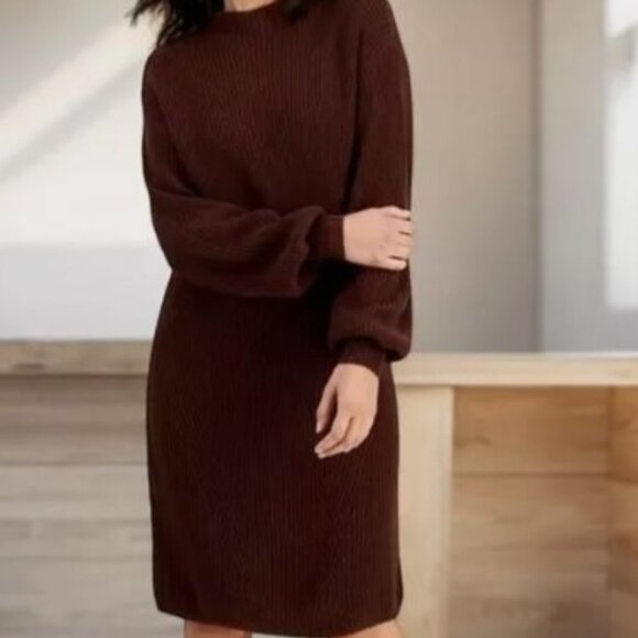 Style & Co Women's Grand Brown Mock Neck Sweater Dress Petite Large New w/ Tags! - Picture 1 of 3